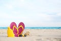 Different beach objects on sand near sea. Space for text Royalty Free Stock Photo