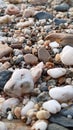 Different Beach Pebbles