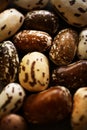 Different beans Royalty Free Stock Photo
