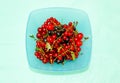 Different berries-cherries, red and black currants in a square Cup