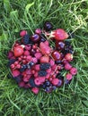 Different berries lie on the grass vitamins summer raspberry strawberry cherry currant sweet