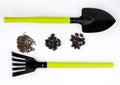 Different black seeds, shovel and rake