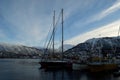 Different boats docket in tromsoe city harbour on a sunny blue day