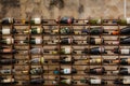 Different bottles of wines stacked on a ancient cellar