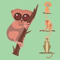 Different breads monkey character animal wild zoo ape chimpanzee vector illustration. Royalty Free Stock Photo