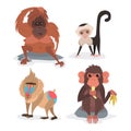 Different breads monkey character animal wild zoo ape chimpanzee vector illustration. Royalty Free Stock Photo