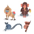 Different breads monkey character animal wild zoo ape chimpanzee vector illustration. Royalty Free Stock Photo