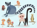 Different breads monkey character animal wild zoo ape chimpanzee vector illustration. Royalty Free Stock Photo