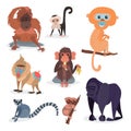 Different breads monkey character animal wild zoo ape chimpanzee vector illustration. Royalty Free Stock Photo