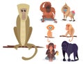 Different breads monkey character animal wild zoo ape chimpanzee vector illustration. Royalty Free Stock Photo