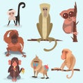 Different breads monkey character animal wild zoo ape chimpanzee vector illustration. Royalty Free Stock Photo