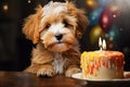 Different breed pets Party happybirthday Generative AI