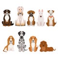 Different breeds of dog. Group of domestic animals in cartoon style. Vector illustrations set Royalty Free Stock Photo