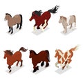 Different Breeds Horses Set with Pony, American Paintshorse and Tinker. Isometric flat 3d illustration