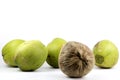 Different brown coconut in group of green Royalty Free Stock Photo