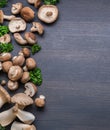 Different brown colored edible mushrooms on black table with herbs. Top view