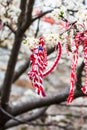 Different Bulgarian Martenitsa signs on the blossoming tree