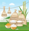 Different burlap sacks of sugar in the garden. White and brown sugar cubes in bowls on fresh green grass
