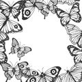 Different butterflies frame