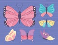 different butterfly set