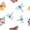 Different butterfly on white background. Seamless pattern.