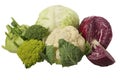 Different cabbage varieties Royalty Free Stock Photo