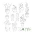 Different Cacti In Pots Hand Drawn Realistic Sketch