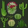 Different cactus types realistic vector icons set Royalty Free Stock Photo