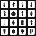 Different cactuses icons set squares vector