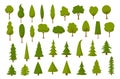 Different cartoon park forest pine fir trees set