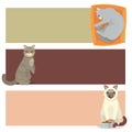 Different cat banners cards cute kitty pet cartoon cute animal cattish character set catlike illustration