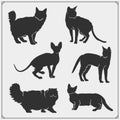 Different cat breeds collection. Silhouettes of beautiful and cute pets.