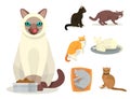 Different cat breeds cute kitty pet cartoon cute animal cattish character set catlike illustration Royalty Free Stock Photo