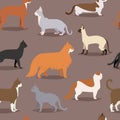 Different cat breeds cute kitty pet cartoon cute animal character set seamless pattern Royalty Free Stock Photo