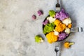 Different cauliflower cabbage on plate and grey concrete background with forks. Top view with copy space Royalty Free Stock Photo