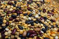 Different cereals and legumes. Mixed dried legumes and cereals Royalty Free Stock Photo