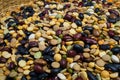 Different cereals and legumes. Mixed dried legumes and cereals Royalty Free Stock Photo