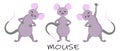 Different characters of mice in poses. Mouse animal, rat rodent. Cheerful vector illustration Royalty Free Stock Photo