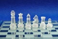 Different chess pieces Royalty Free Stock Photo