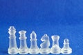 Different chess pieces Royalty Free Stock Photo