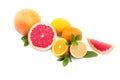 Different citruses on a white background. Tropical fruits: grapefruit, oranges, and lemons. Green peppermint leaves.