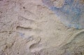Different color of clay with sand mixure with hay and hand print Royalty Free Stock Photo