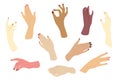 Different Color Female Hands