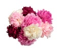 Different color peonies