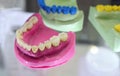 Different color Stomatology teeth models dental education model Royalty Free Stock Photo