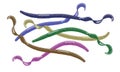 Different color varieties of soft plastic worm baits.