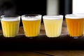 Different color wheat beer varieties in small glasses for sampling Royalty Free Stock Photo