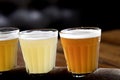 Different color wheat beer varieties in small glasses for sampling Royalty Free Stock Photo