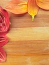 Different colored dahlia flower petals border on wooden background Royalty Free Stock Photo