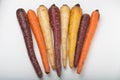 Different colored fresh picked assorted carrots